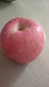 甜醉了 烟台苹果栖霞红富士新鲜水果生鲜山东特产脆甜整箱平果礼盒礼品 红富士净重4.5斤75-80mm 实拍图