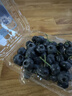云南8分甜高山蓝莓125g(18mm) 实拍图
