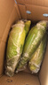 佳农宝菜山东带绿皮新鲜水果玉米健康轻食玉米4-6根4.5斤装源头直发 实拍图