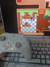 飞智沙漠狐 多模版无线游戏手柄 类xbox霍尔扳机switch电脑PC手机steamNS双影奇境 实拍图