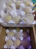 梨子新鲜10斤砀山梨酥梨应季10斤包邮现摘雪梨水果梨脆甜整箱贡梨 9斤大果 实拍图