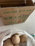 京鲜生 甘肃定西土豆 5斤 单果200g+ 沙面黄心土豆马铃薯洋芋 源头直发 实拍图
