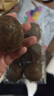 同仁堂（TRT）罗汉果6枚广西罗汉果干果大果果仁清润茶泡水喝喉茶养生茶110g 实拍图