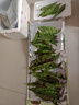 京鲜生山东新鲜油豆角1.8斤装新鲜蔬菜源头直发包邮 实拍图