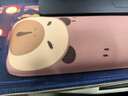 镭拓（Rantopad）TOTO 机械键盘托腕垫 电脑桌面鼠标护腕手托 卡通可爱水豚 卡皮巴拉 实拍图