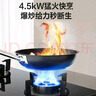 万和燃气灶【小圆鼎X1·4.5kW】液化气猛火一级能效烟灶联动家电国家补贴20%嵌入式家用煤气双炉具台X1 实拍图