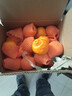 早熟新鲜椪柑丑橘子应季新鲜水果酸甜多汁整箱包邮 10斤装 实拍图