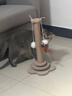 欢宠网猫抓柱猫抓板猫爬架猫玩具猫咪立式剑麻自嗨解闷神器猫猫小猫幼猫 实拍图
