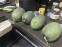 京鲜生 海南哈密瓜 西州蜜/西周蜜 4粒 10斤 单果2.5斤起 生鲜水果礼盒 实拍图
