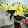 悦多彩AB级优质香水百合 家庭办公室各色生活鲜花 昆明基地 现采直发 黄色百合10朵（双头5枝） 实拍图