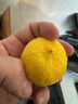 京鲜生 安岳黄柠檬 8粒 单果95-120g 生鲜水果 实拍图