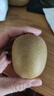 佳沛（zespri）新西兰  阳光金奇异果25-27粒原箱特大果单果约122-146g  猕猴桃 实拍图