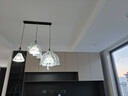 雷士（NVC） 餐厅灯 北欧灯具 铁艺吧台餐吊灯 工业风现代简约创意灯具餐厅灯 北欧3头餐吊灯【带5瓦白光光源】 实拍图