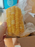 京鲜生甘肃水果玉米段2斤 真空甜玉米棒低脂代餐免煮 开袋即食 源头直发 实拍图