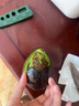 山姆大叔 金奖·哈斯牛油果云南孟连【闪送】当季鳄梨非即食新鲜水果礼盒 【80%选择】精品果丨约95-125g 6枚【热销* 超值推荐】普装 实拍图