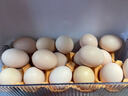 土鸡蛋农家散养新鲜柴鸡蛋孕妇笨鸡蛋40-50g正宗草鸡蛋谷物蛋整箱 10枚400g 实拍图