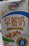 伊利 早餐奶核桃味牛奶250ml*24盒/箱 优选核桃 浓香早餐伴侣 9月产 实拍图
