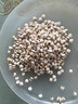 福东海 贵州小薏米 祛薏苡仁五谷驱杂粮湿薏仁米500g 寒煲汤料 实拍图