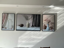 诗六艺家饰客厅装饰画北欧现代简约沙发背景墙挂画三联画大气轻奢壁画晶瓷画 瓶瓶安安（铝合金外框） 晶瓷画左右50*70+中间100*70亮面 实拍图