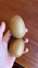 佳沛（zespri）新西兰  阳光金奇异果16粒礼盒经典果单果约 77-103g 水果 猕猴桃 实拍图