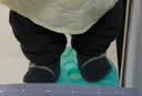 贝瑞加（Babyprints）婴儿地板袜男女宝宝软底学步袜室内早教袜套保暖隔凉鞋袜 咖熊M 实拍图