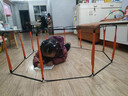 COODORA敏捷梯儿童体能训练器材家用蝴蝶绳梯感统跳房子学生体育跨栏玩具 实拍图