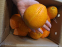 京鲜生 湖北至尊纽荷尔脐橙礼盒 净重8斤 180g起 源头直发包邮 实拍图
