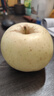 甜醉了 烟台苹果黄元帅粉面苹果黄金帅黄香蕉山东新鲜水果当季整箱鲜果 净重5斤特大果85mm 实拍图