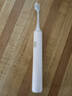 小米（MI）米家电动牙刷成人情侣男女生日礼物软毛超声波实用便携长续航热门结婚礼品元旦礼物 T300白色 实拍图