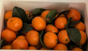 京地达广东砂糖橘新鲜水果净重3斤中小果35-45mm源头直发包邮 实拍图