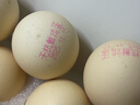 1号会员店One's Member 富硒可生食标准鲜鸡蛋30枚 净重3斤单枚55g源头直发 实拍图