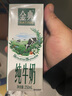 伊利金典纯牛奶整箱 250ml*16盒 3.6g乳蛋白 礼盒装 实拍图