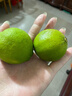 京鲜生 塔西提无籽柠檬 青柠檬 2斤装 单果60g起 生鲜水果 实拍图
