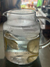 GLASSLOCK耐热玻璃冷水壶高硼硅家用大容量凉白开水壶泡茶果汁壶1000ml 实拍图