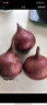 京鲜生 云南紫皮洋葱 净重5斤 带皮洋葱头新鲜蔬菜 紫皮圆葱源头直发 实拍图