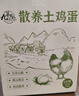 九華粮品散养土鸡蛋60枚 净重5.76斤 农家柴鸡蛋 笨鸡蛋 月子蛋 实拍图
