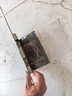 德力西（DELIXI）开关插座 嵌入式地插大理石瓷砖隐藏式地板插座 纯平双五孔十孔 实拍图