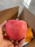 甜醉了 烟台苹果栖霞红富士新鲜水果生鲜山东特产脆甜整箱平果礼盒礼品 18枚单果75-80mm(净重约8斤) 实拍图