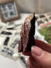 三只松鼠手撕风干牛肉干250g原味内蒙古特产风味牛肉干肉脯休闲零食量贩装 实拍图