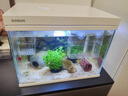 森森（SUNSUN）超白鱼缸一体缸自循环客厅桌面小型家用水族箱HEJ-380 实拍图