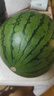 小兰黄瓤冰淇淋西瓜1粒约2.5kg  实拍图