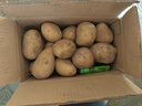 湖北恩施富硒小土豆黄心国家地标蔬菜高山种植鸡蛋大小生鲜京东 富硒小土豆 5斤含箱 实拍图