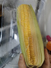 【炖煮季】黄粒甜玉米约800g 实拍图