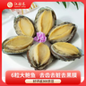 江船长冷冻鲍鱼 带壳去内脏去黑膜 净重230g 6粒装火锅食材海鲜年货送礼 实拍图
