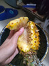 广东徐闻香水菠萝新鲜水果生鲜热带孕妇水果整箱包邮 【限时低价】1个装  单果650g起 实拍图
