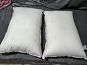 水星家纺枕头枕芯酒店枕头护颈枕头芯家用一对纯棉抗菌可水洗高枕48x74cm 实拍图