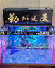 吉印刀锋z鱼缸灯增艳专用灯水族全光谱照明灯潜水蝴蝶鲤罗汉发色红灯 56cm鱼缸增艳灯【56-65cm缸】15W 实拍图