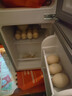 志高（CHIGO）小冰箱迷你小型家用冷藏冷冻两用宿舍出租房用双门办公室电冰箱节能省电 【一级能效】66L银色【三天约一度电】 实拍图