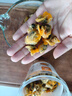 倾海之宴【青岛源头产地】毛蛤干250g 蛤蜊海鲜干货煮粥煲汤 源头直发包邮 实拍图