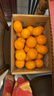京鲜生  广西优级沃柑 净重10斤 单果160g起 生鲜水果柑橘桔子礼盒 实拍图